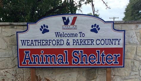 Weatherford animal shelter - Weatherford/Parker County Animal Shelter. 403 Hickory Lane, Weatherford, TX 76086. Contact —. Email animals@weatherfordtx.gov. Phone (817) 598-4111. Website http://www.weatherfordtx.gov/15/Animal-Shelter. 